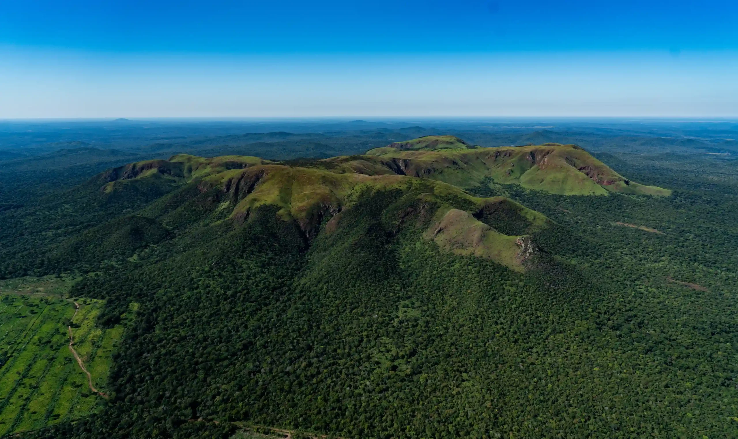 El Bosque Seco Chiquitano, el gigante que sostiene el mundo