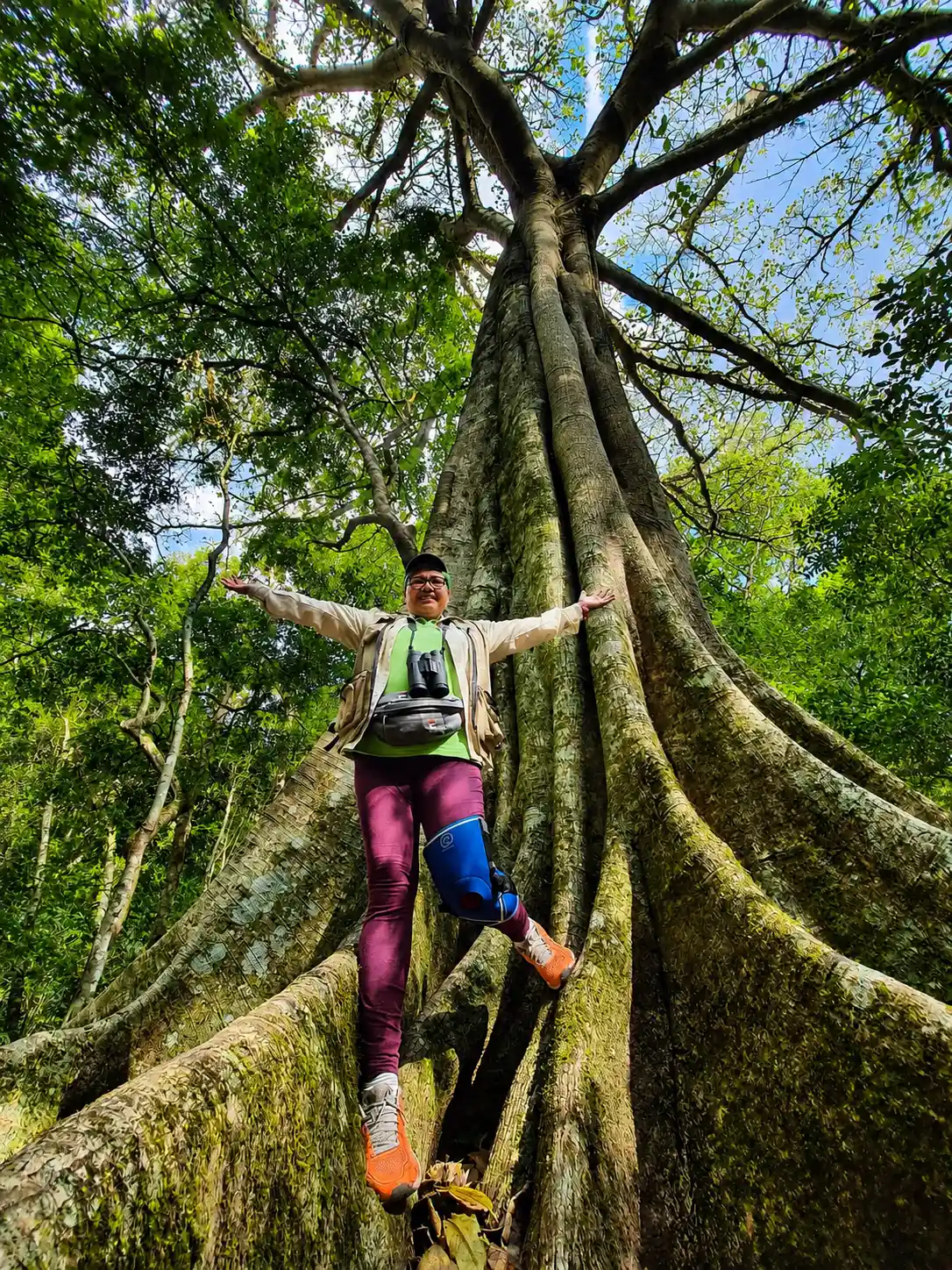 “Ven a caminar el Amboró: el bosque te está esperando”