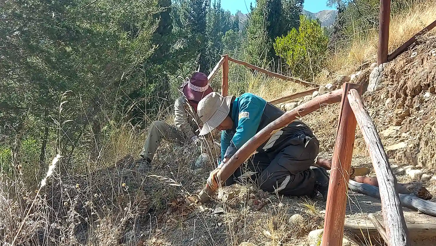 Auquisamaña, un área protegida municipal convertida en escuela de conservación en La Paz